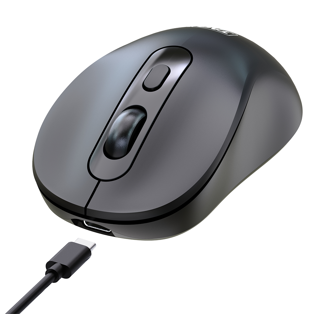 Wireless Mouse WM6000